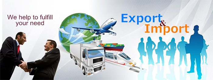 giấy phép export và import