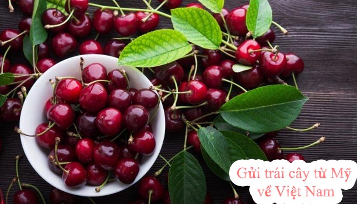 Cách gửi trái cây từ Mỹ về Việt Nam