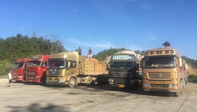 Vận tải đi Lào theo hình thức chính ngạch